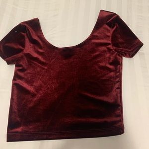 Burgundy Velvet Crop Top